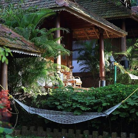 Somatheeram Ayurveda Village Kovalam Dış mekan fotoğraf