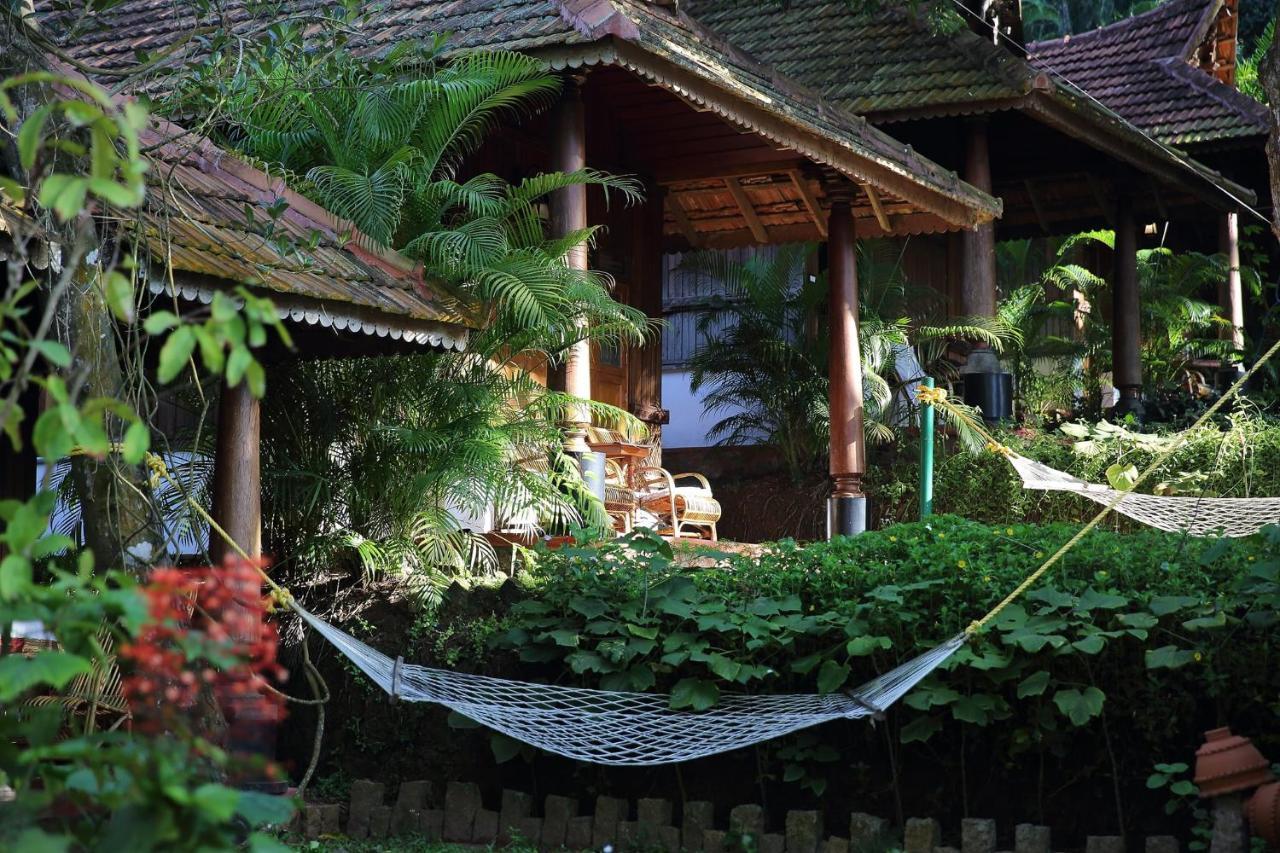 Somatheeram Ayurveda Village Kovalam Dış mekan fotoğraf