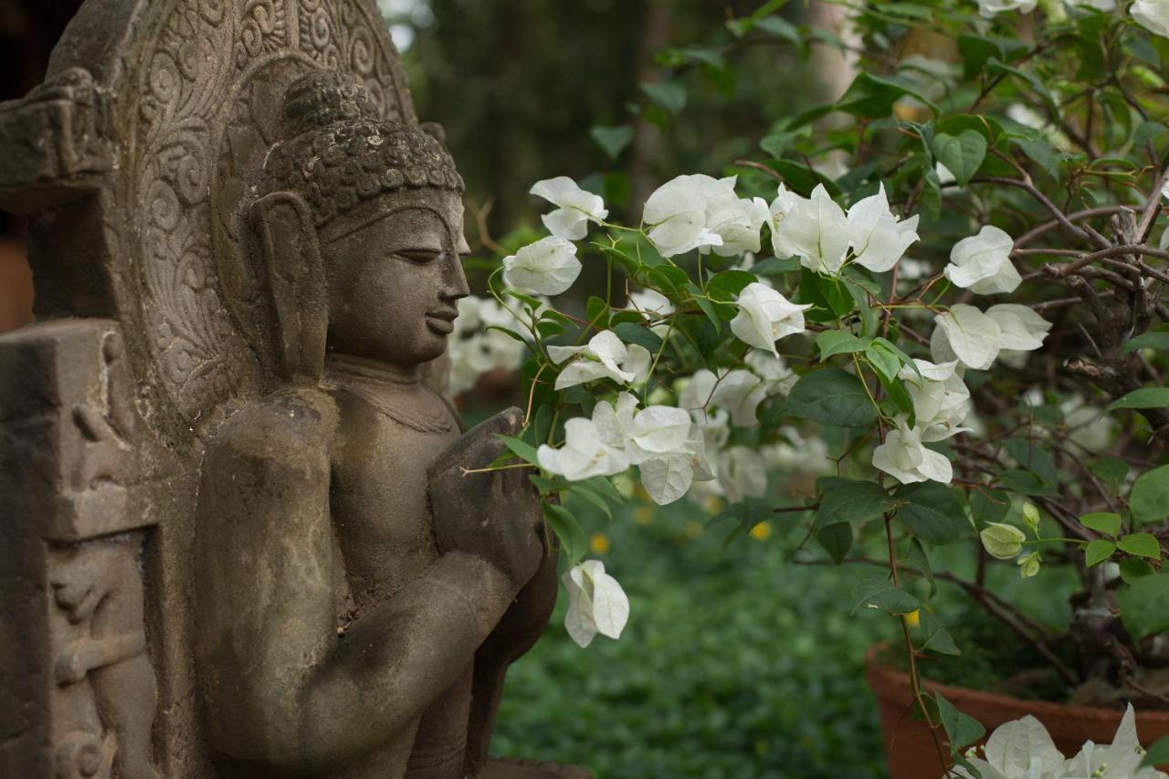 Somatheeram Ayurveda Village Kovalam Dış mekan fotoğraf