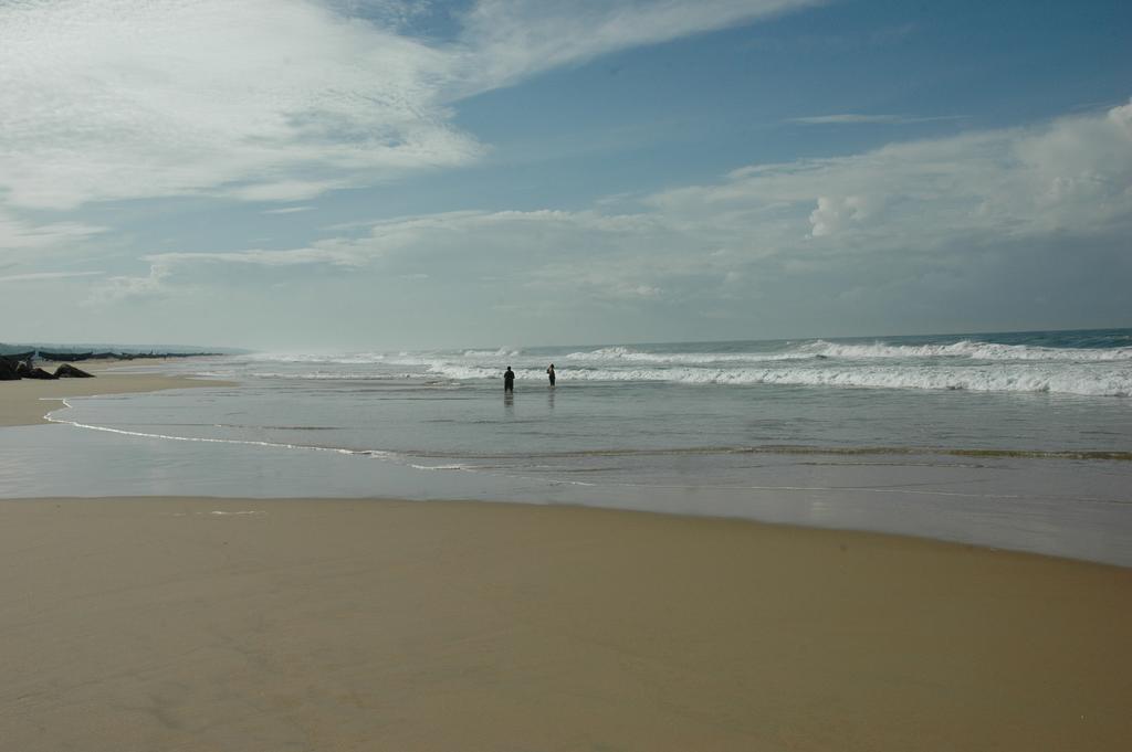 Somatheeram Ayurveda Village Kovalam Dış mekan fotoğraf