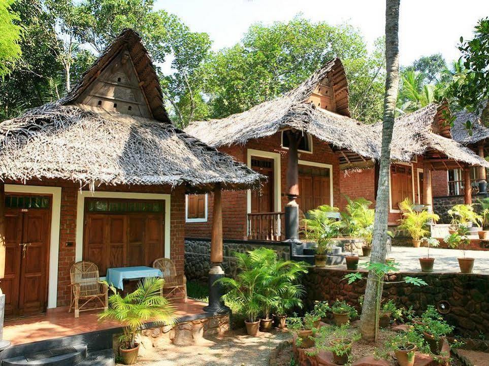 Somatheeram Ayurveda Village Kovalam Dış mekan fotoğraf
